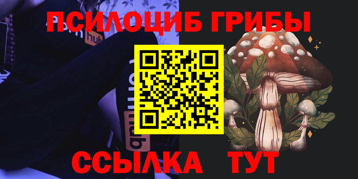 Псилоцибиновые грибы GOLDEN TEACHER  Вход с VPN  Ульяновск 