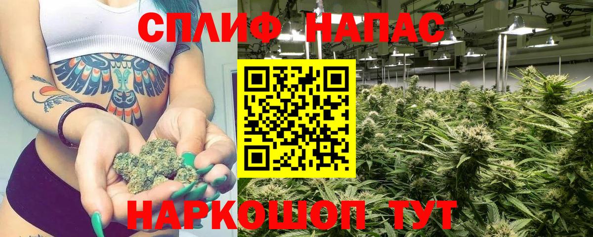 Шишки марихуана гибрид  Каннабис индика  Шишки марихуана OG Kush  Вход с VPN  Ульяновск  Марихуана планчик 